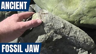 Large, mystery fossil bone encased in rock removed using acid (Paleontology time-lapse)