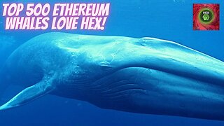 Top 500 ETHEREUM WHALES Love HEX!