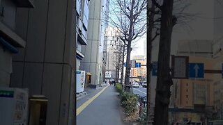 신바시에서 긴자방면 도보. 도쿄