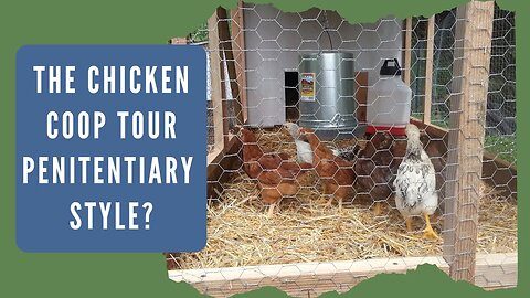 Tour of Our Bottomless Chicken Coop Permaculture Style