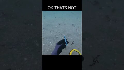 I found something weird at the beach underwater treasure hunting