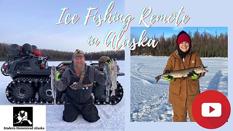 Pike Fishing in Remote Alaska | Day in the life Vlog #alaskafishing