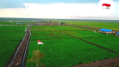 Tanah Subur | ALAM INDONESIA KAYA