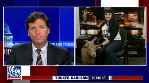 Tucker Carlson speaks with the co-owner of Portland’s Belmont Goats.