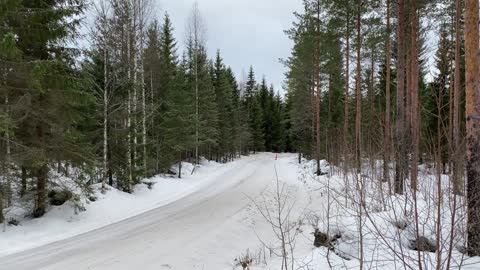 Elfyn Evans Rally Sweden 2023 test 26.1.2023 Toyota GR Yaris Rally1