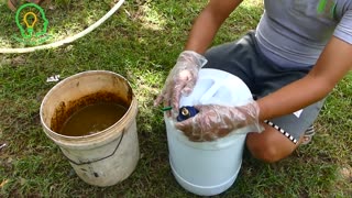 How to make Free Energy Gas from Cow Dung