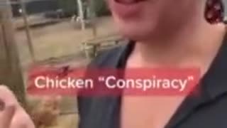 Chicken Farmer explains the Chicken fedd stopped her chickens and other farms from producing eggs