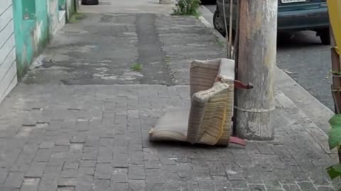 Ignorância: sofá na rua Sílvia, 438 - Bela Vista - São Paulo - SP - #Reupdanielfraga nº 18