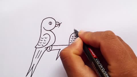 How To Draw A Bird From 320 Drawing Pictures Draw