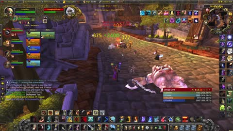 World of Warcraft Hunter struggling in Culling of Stratholme