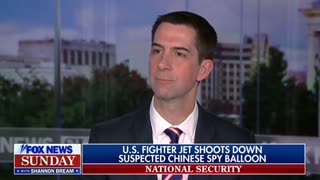 Sen. Tom Cotton on the Chinese spy balloon and TikTok