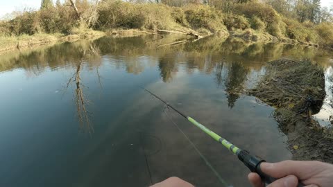 Quick Morning Coho Fishing