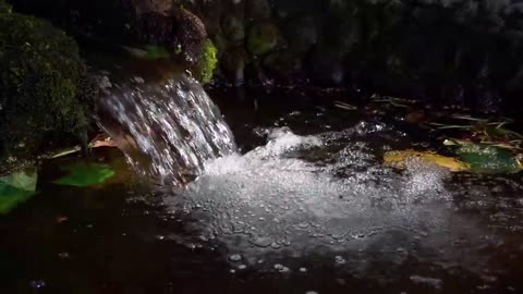 Mountain Spring