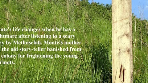 Monte's Lost Colony Book Trailer