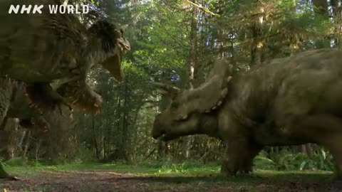 Tyrannosaurus vs Triceratops - DINOSAURS