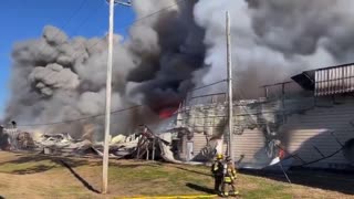 Massive fire at Hillendale Farms supplier of eggs - 100,000 hens burned to death