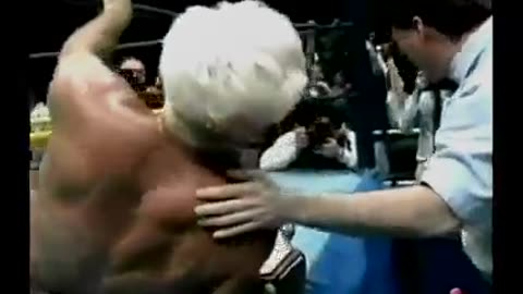 STING VS RIC FLAIR