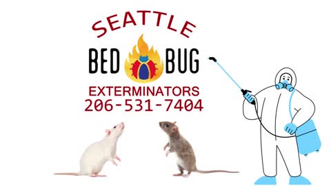 Seattle Bed Bug Extermination | 206-531-7404