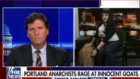 Portland anarchist rage at innocent goats