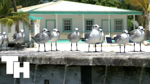 Belize