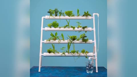 Easy Hydrophonics System Setup for All Ages and Genders
