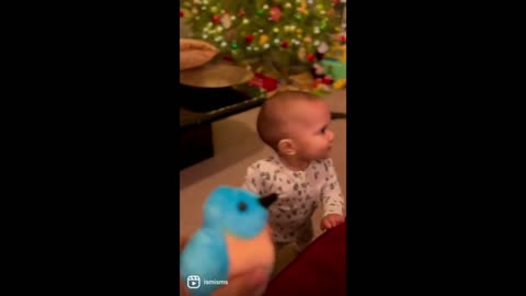 Smart Baby Adorably Follows Commands