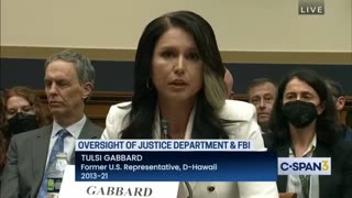 Tulsi Gabbard Testifies on the Weaponization of Federal Government - Thursday February 9, 2023