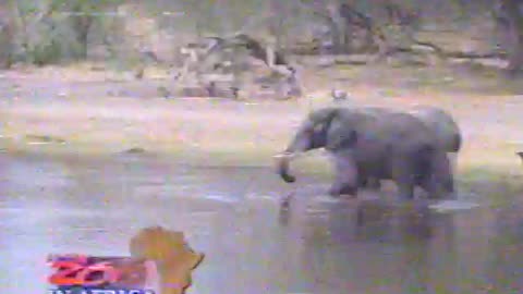 Fall 1993 - WRTV's 'At The Zoo' From Africa (Partial)