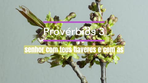 PROVÉRBIOS - PALAVRAS PODEROSAS PARA TE ABENÇOAR | Dilson Dias