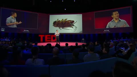 Ed Yong: Zombie Parasites & The Mind Controlled Herd Mentality, Suicide & Loyalty To The Enemy