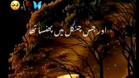 Islamic Video Al Quran Beautiful Voice WhatsApp Status Status Video 🥀