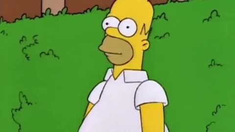 30 years since this "Homer Simpson Backs Into Bushes" scene aired on The Simpsons