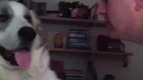 My dog reacts 😆 🤣 !!