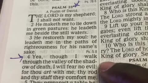 chosen ones daily scripture psalm 23_4 God i will fear no evil, for you are with me!