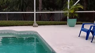 Palm City FL Pool