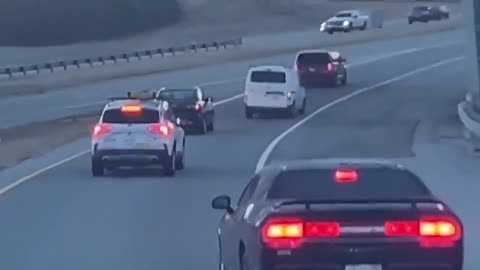 Funny people, cops serve up a healthy dose of karma against this terrible driver