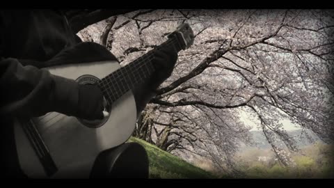 桜ノ雨(Sakura no Ame) - absorb / Classical guitar solo