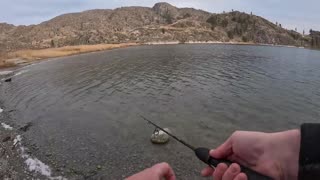 GIANT TROUT Fishing in Pristine Mountain Lake!!! I caught a NEW SPECIES...