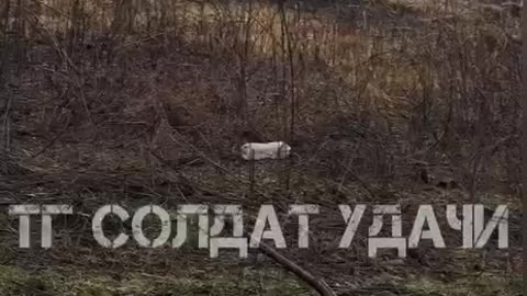 Burnt Ukrainian Soldiers , ( 18+ Content )
