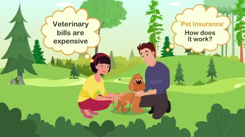 Pet Insurance