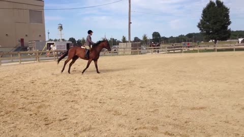 Cathy Roehl and Registered Trademark, 2'3 Green OTTB Hunters, BEST August 2013