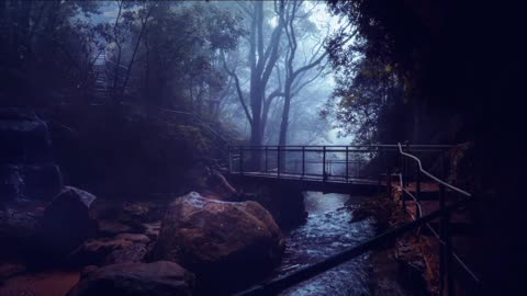 Relaxing Sound of Rain and Wind in Forest 1 Hour / Rain Drops Falling From Trees with Wind