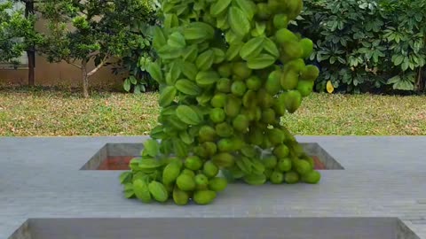 Fruit video