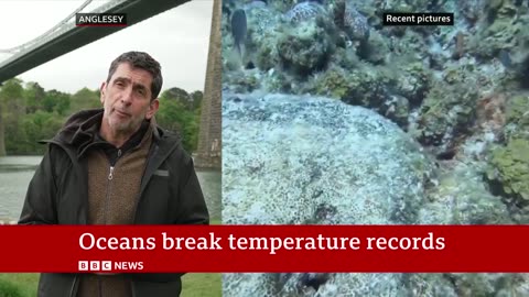 Oceans suffer from record-breaking year ofheat amid climate change | BBC News