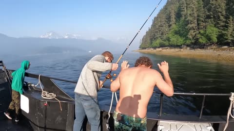 Fishing & Swimming with Orcas while Camping in Alaska on an Island. Fishing Catch & Cook