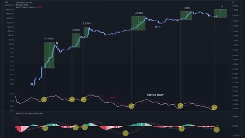 THESE HISTORICAL BITCOIN SIGNALS HAVE NEVER FAILED [Flashing Now...]