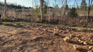 How to Level a Gravel Driveway With a Rake and a Pair of Shovels.