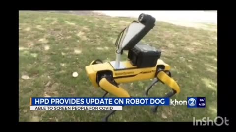 Honolulu Police Department uses a robot dog named Spot to test the homeless population for Covid