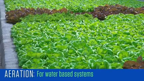 How to select a hydroponic system for the greatest financial return