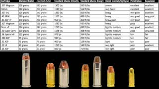 Best Cartridges for Conceal Carry
